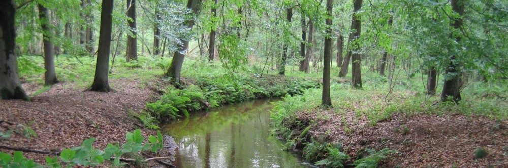 Marjolein Lemmens Advies